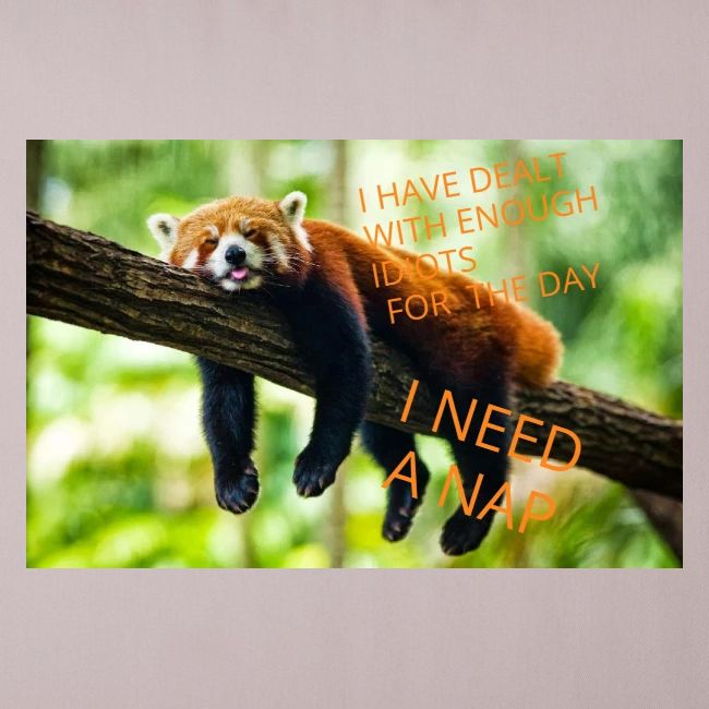 Fox napping meme