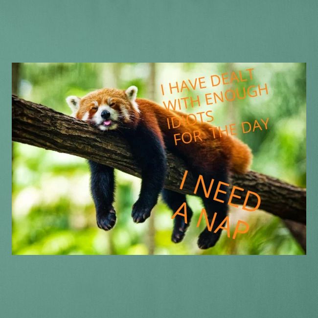 Fox napping meme