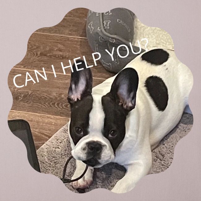 MOCHI CAN I HELP YOU