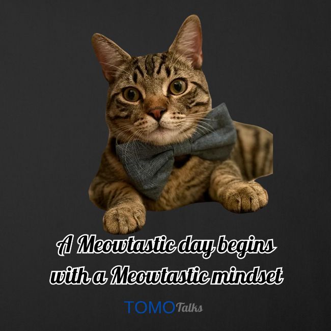 Meowtastic Mindset