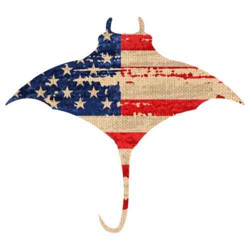 July 4th Stingray - Throw Pillow Cover 17.5” x 17.5”