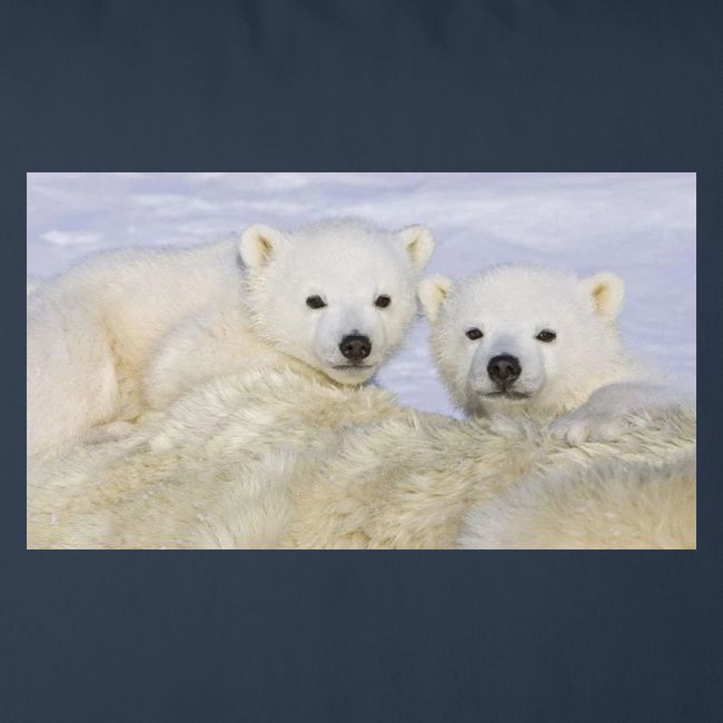 polarbears