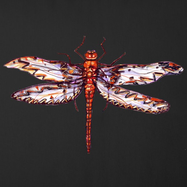 Dragonfly red