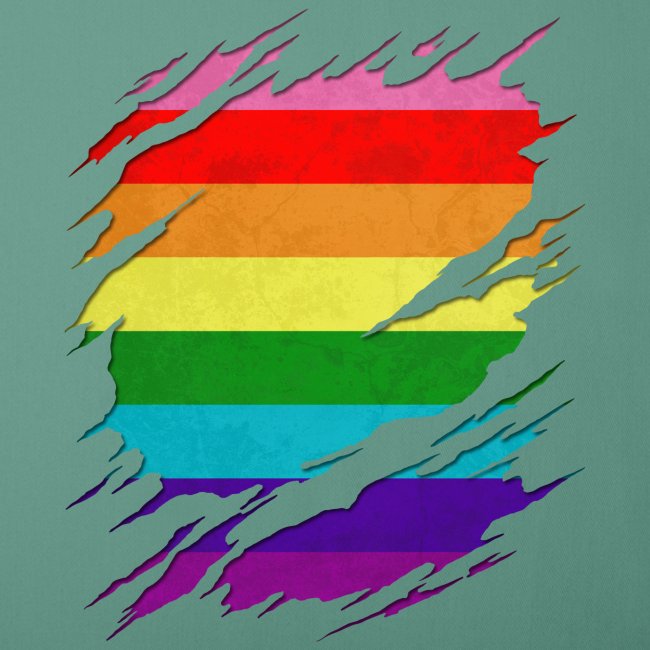 Original Gilbert Baker LGBT Gay Pride Flag Ripped