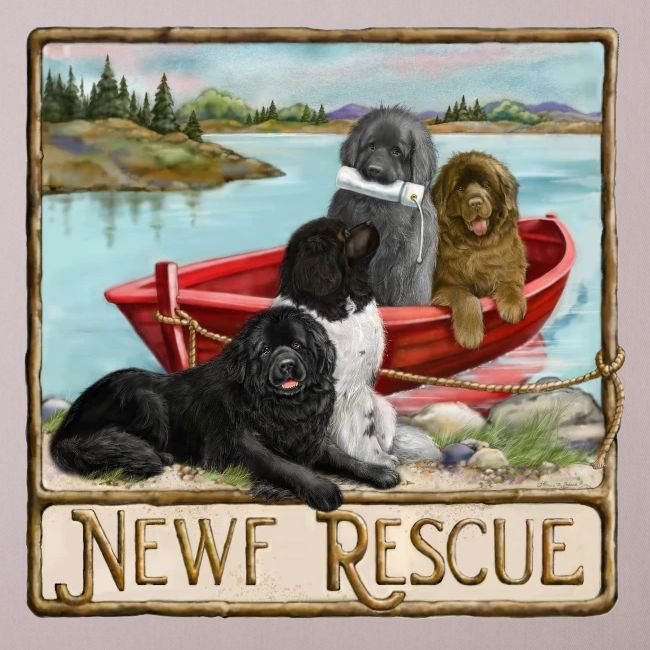 NCA Newfoundland Dog Rescue Gear