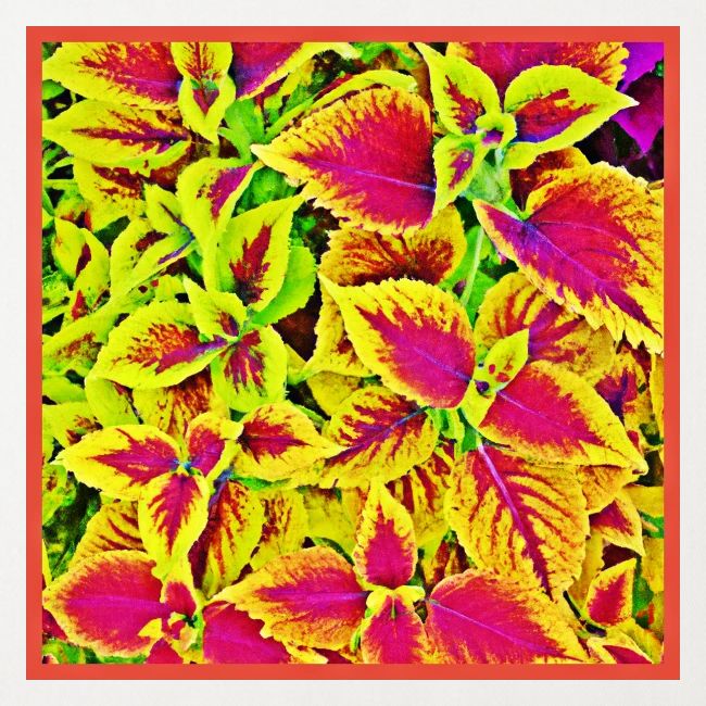Lively Leaves Pattern Dance