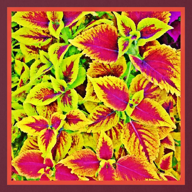 Lively Leaves Pattern Dance