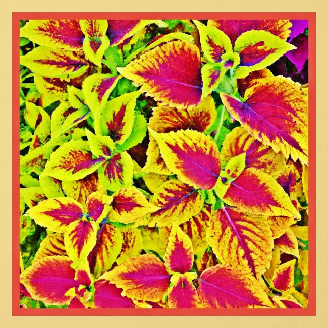 Lively Leaves Pattern Dance