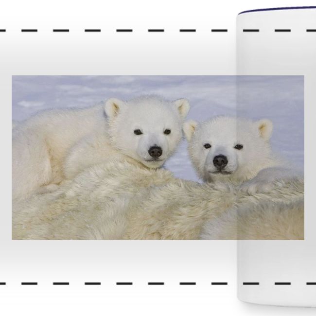 polarbears