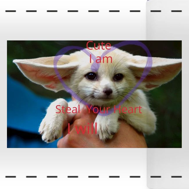 baby fox