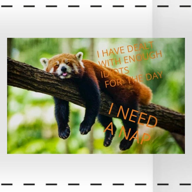 Fox napping meme