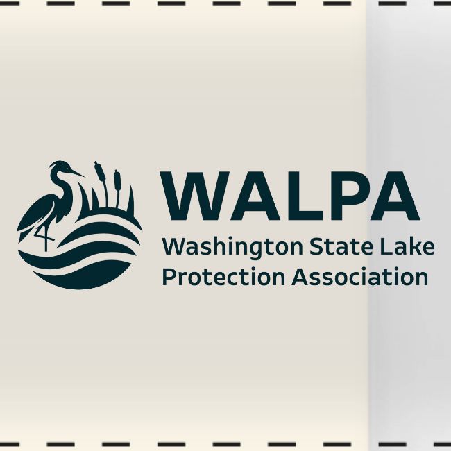 WALPA 1 Navy