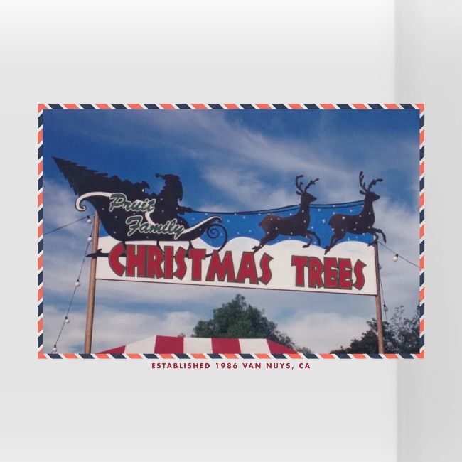 Priut Christmas Tree Shop