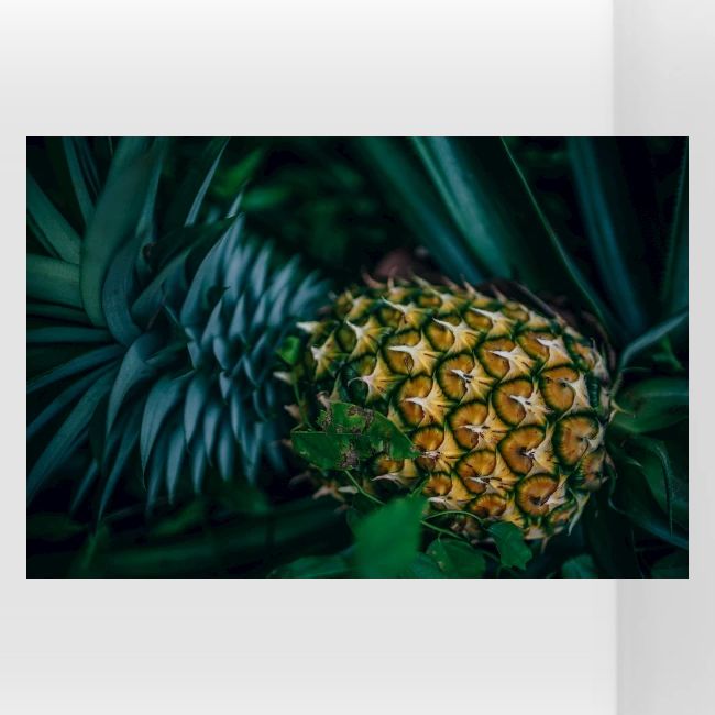 "Pineapple" Cute Photo. Buy Now