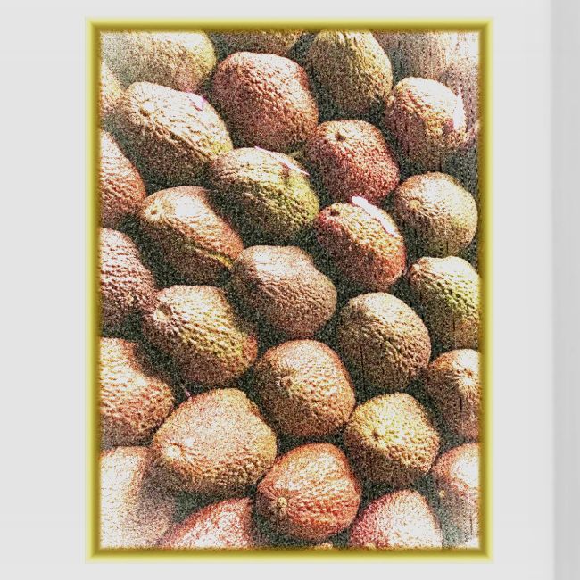 "Pile of Avocados" Cute Photo. Buy Now