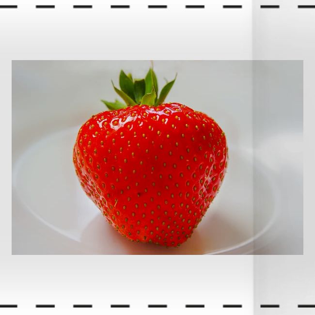 Strawberry Fruit Photo