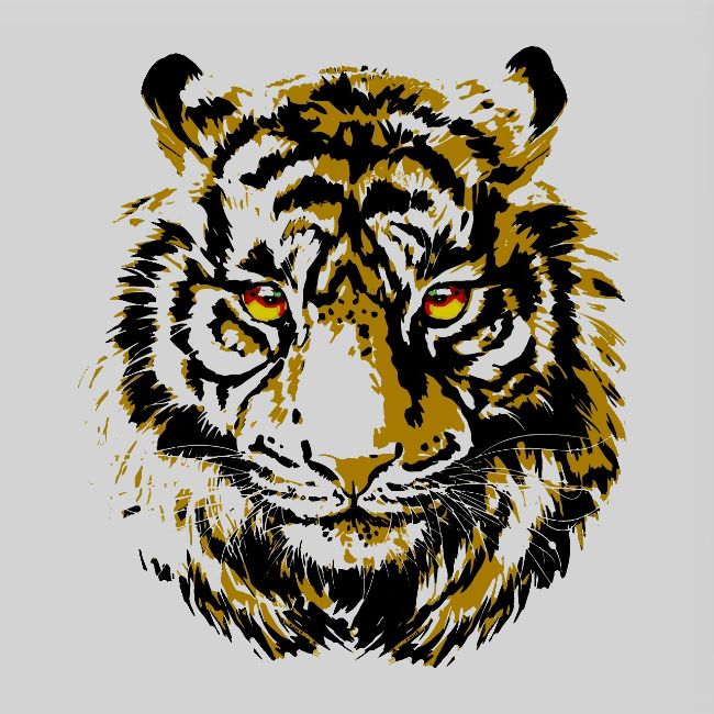 Realistic Tiger Illustration - Tiger Face