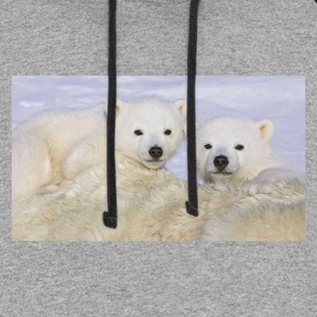 polarbears