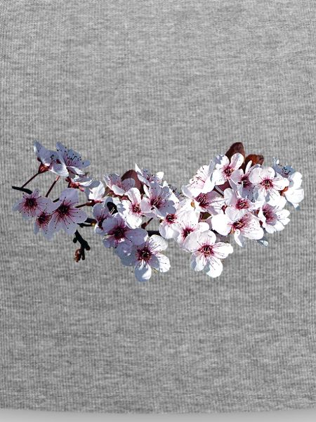 Sprig of Cherry Blossoms