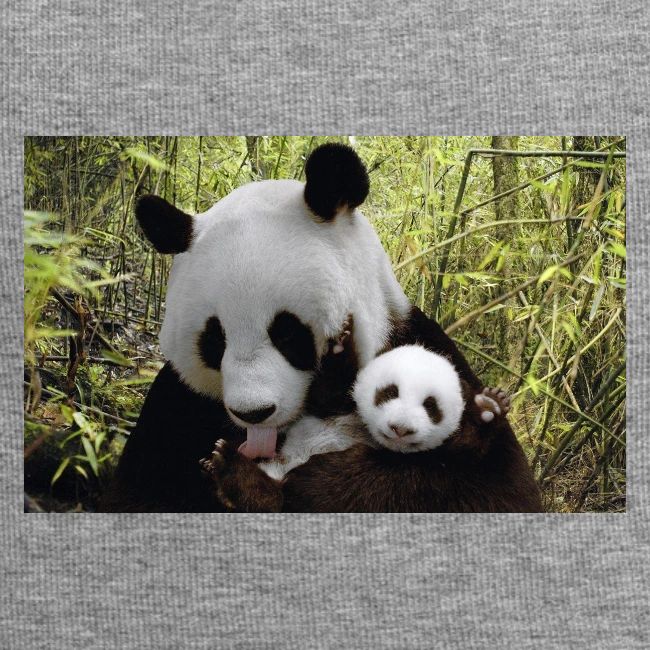 panda