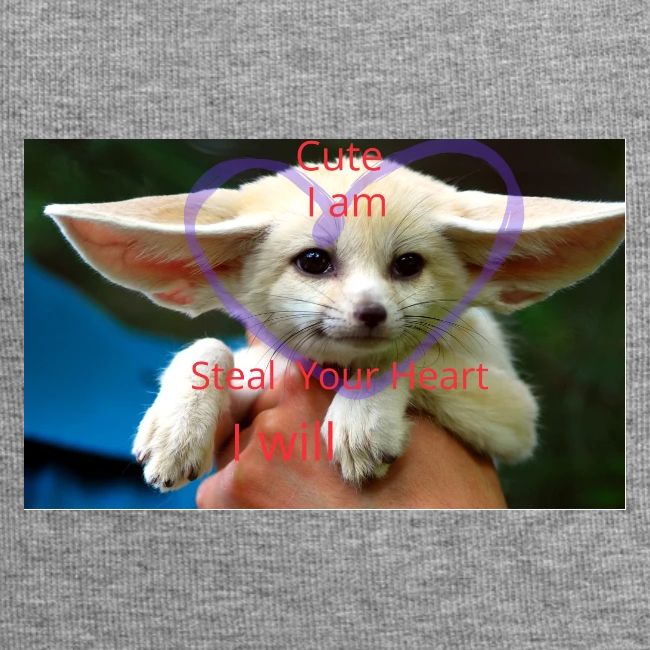 baby fox