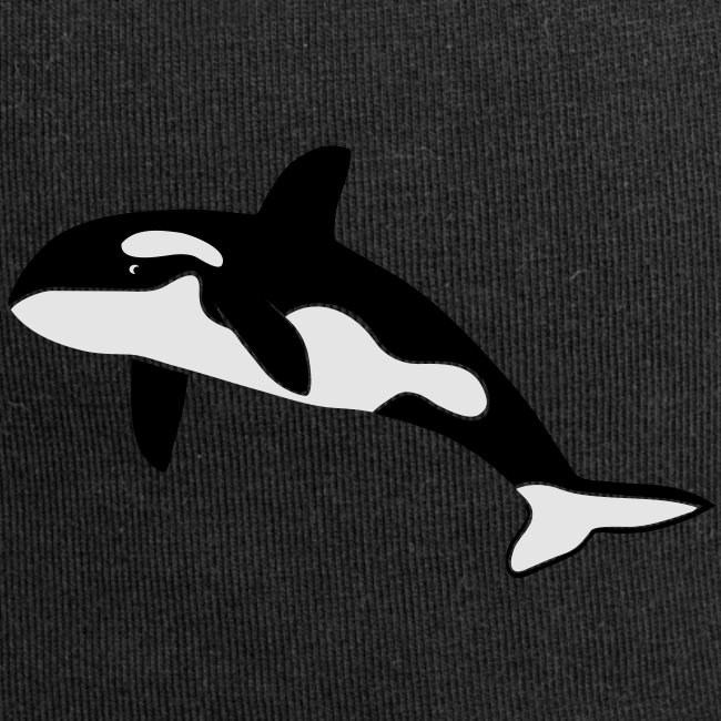 orca whale killer whale dolphin blackfish ocean