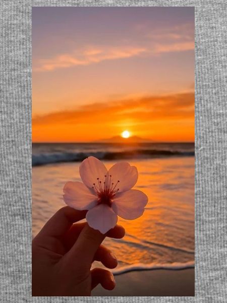 Sunset Blossom Shore