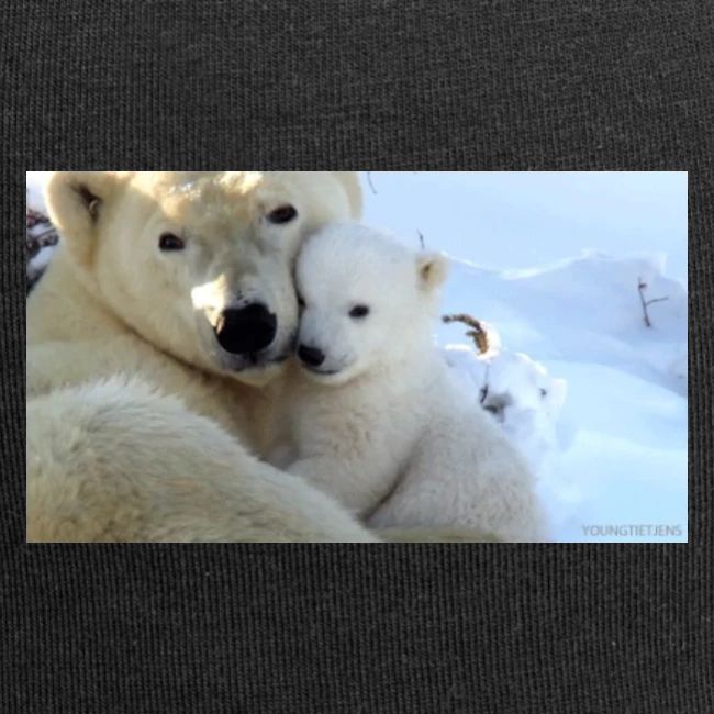 polarbearhug