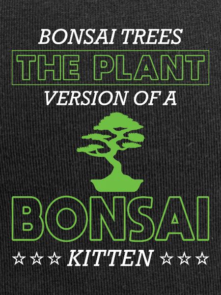 Bonsai Tree