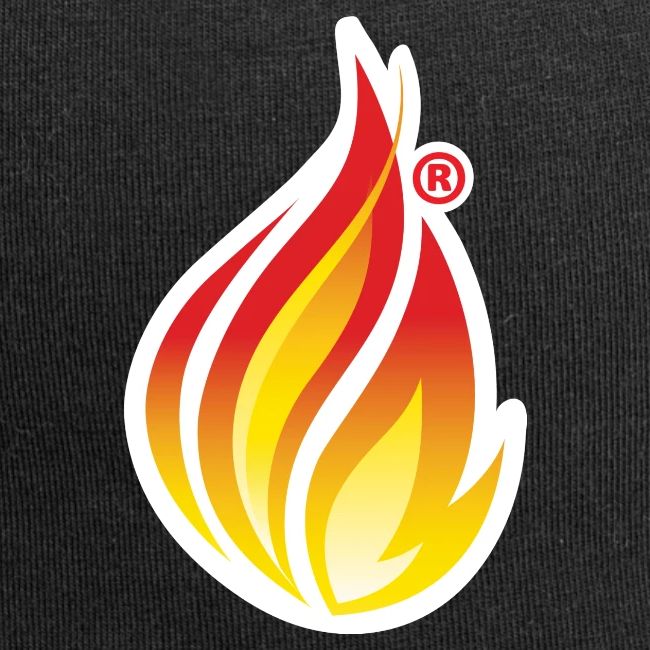 HL7 FHIR Flame graphic with white background