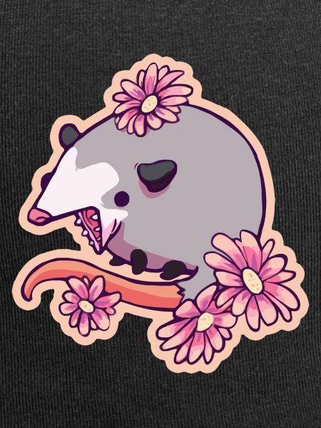 Funny Opossum Possum