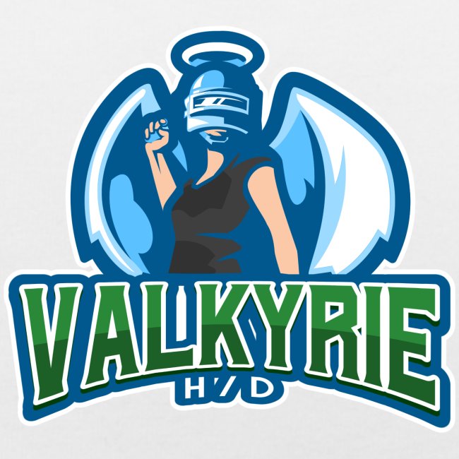 Team Valkyrie Product Line