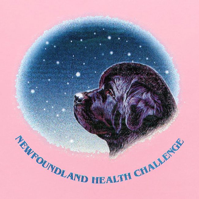 NCA Newfoundland Health Challenge Logo Gear