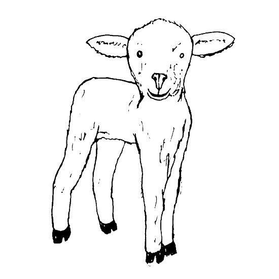baby lamb outline