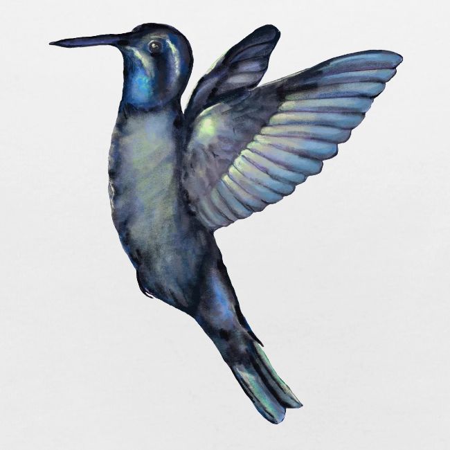 Hummingbird in flight