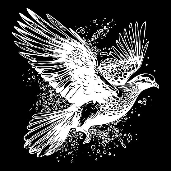 flying dove tattoo drawing