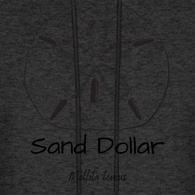 Sand Dollar Science