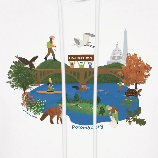 Icons of the Potomac