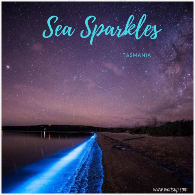 Tasmanian Sea Sparkles