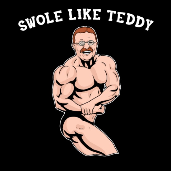 Bodybuilding Teddy Roosevelt Fitness Gifts Gym Men's Hoodie
