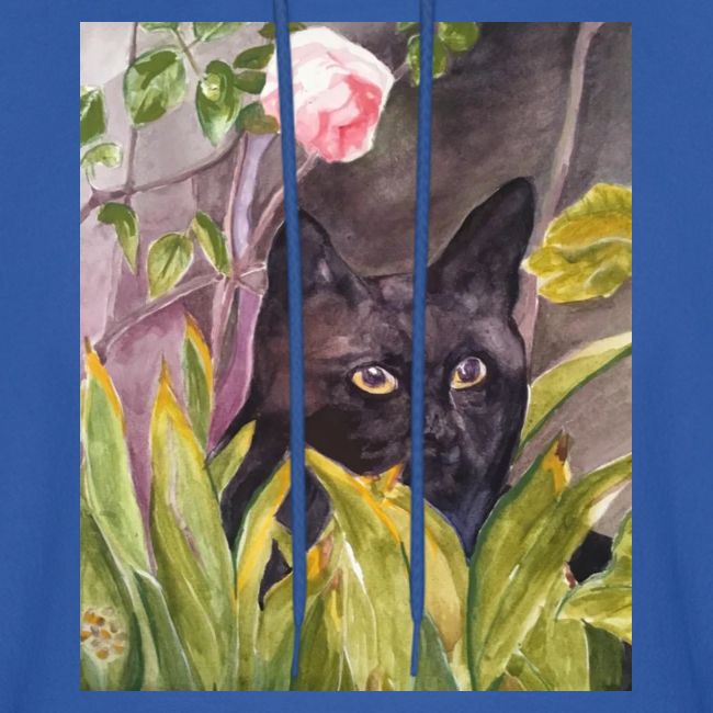 Black cat