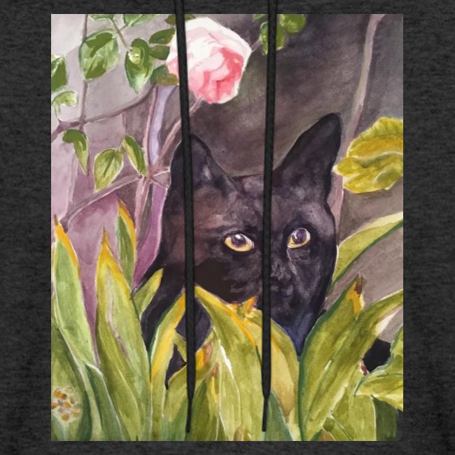 Black cat