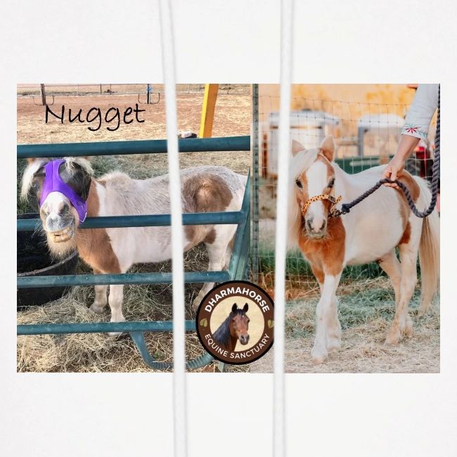 Nugget
