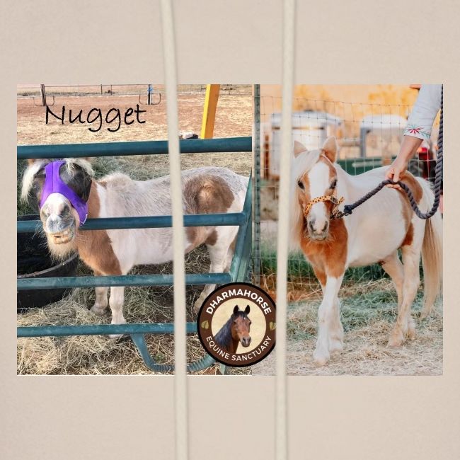 Nugget