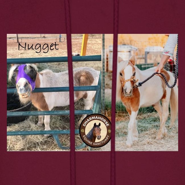 Nugget