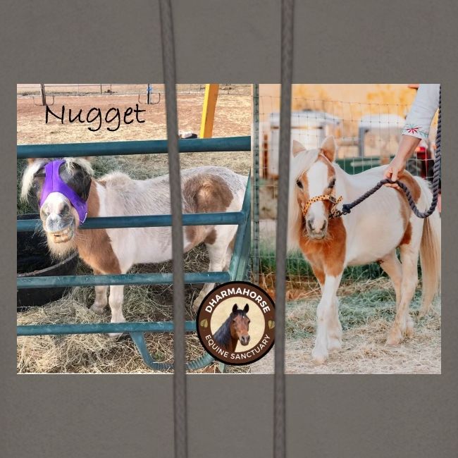 Nugget