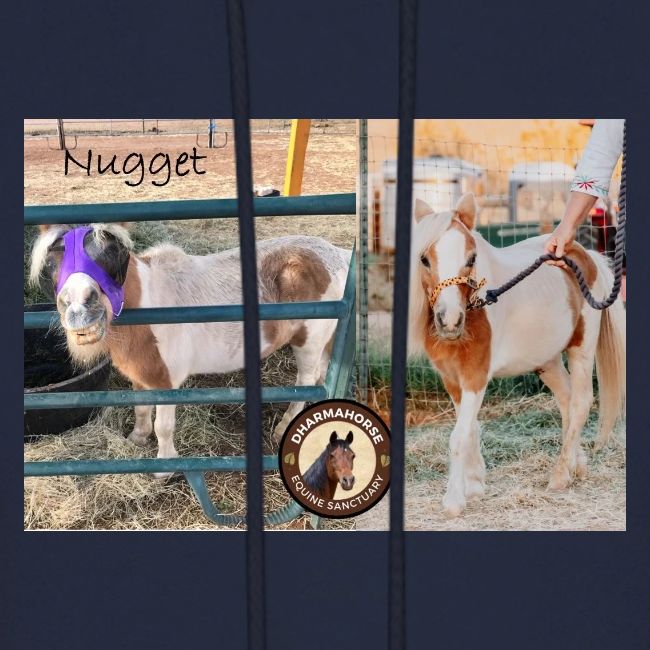 Nugget