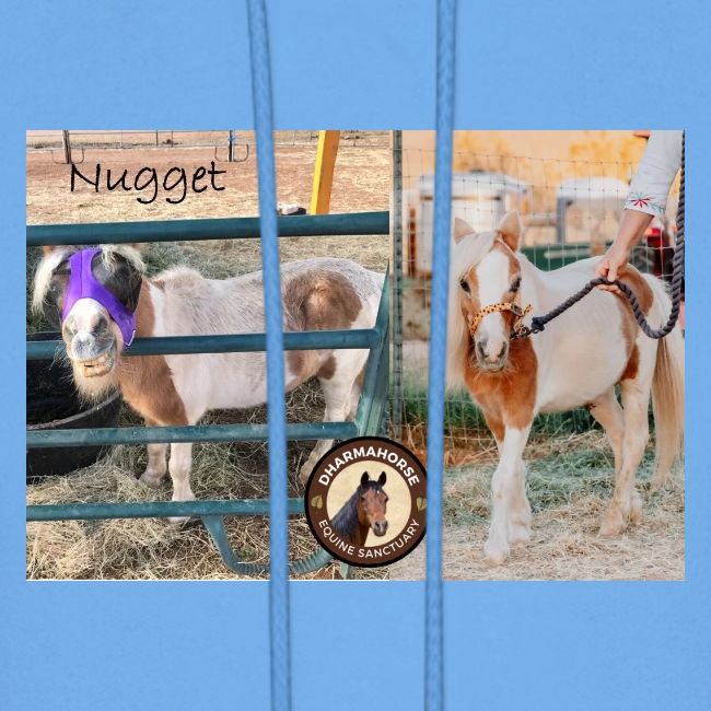 Nugget