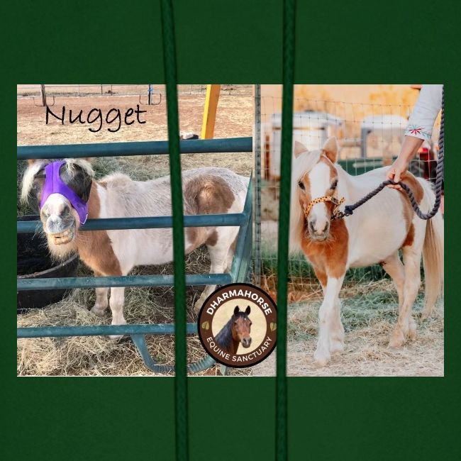 Nugget