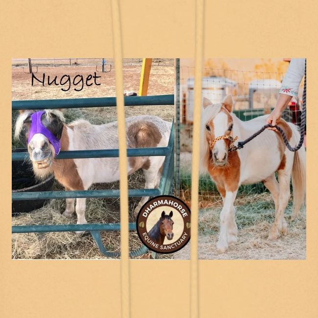 Nugget